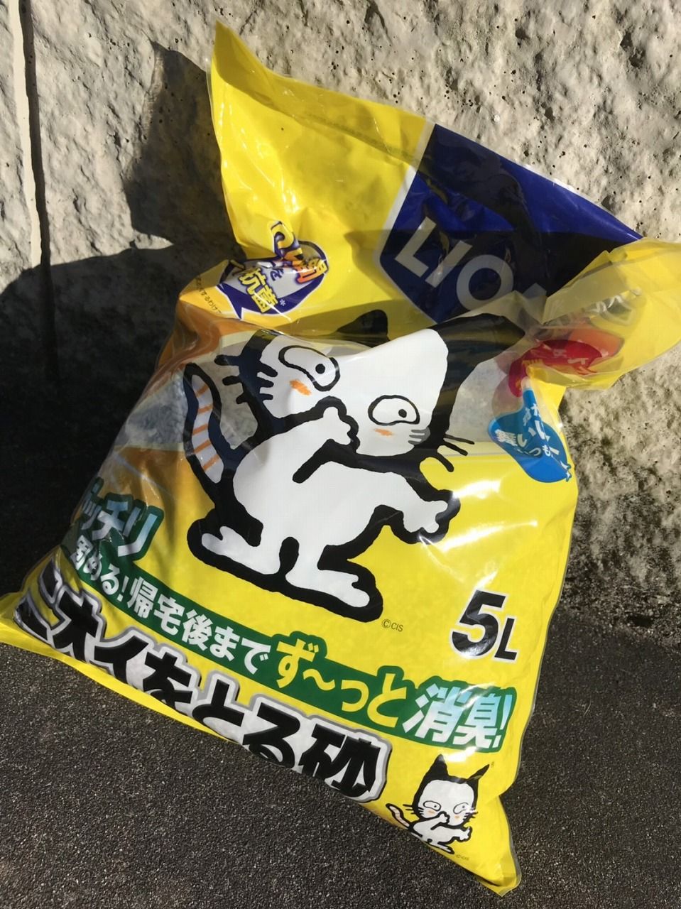 イメージ 9