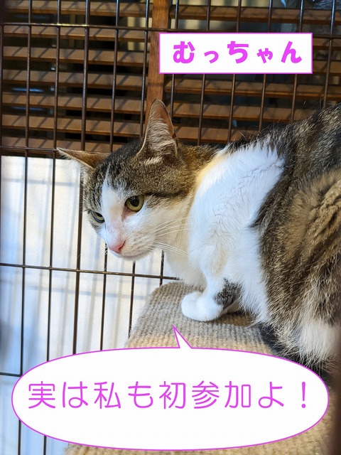 s-muttyann