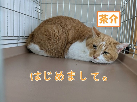 s-tyasuke