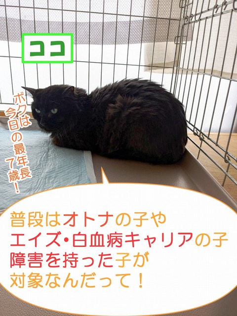 s-koko