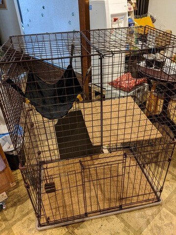 s-IMG_20200320_132901