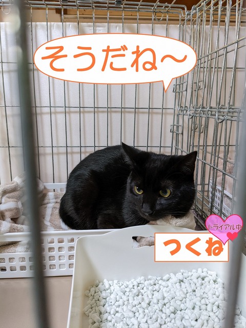 s-tukune