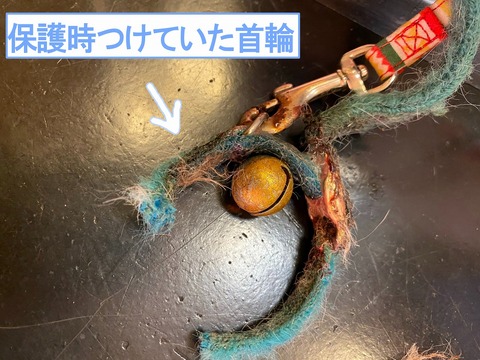 s-kubiwa