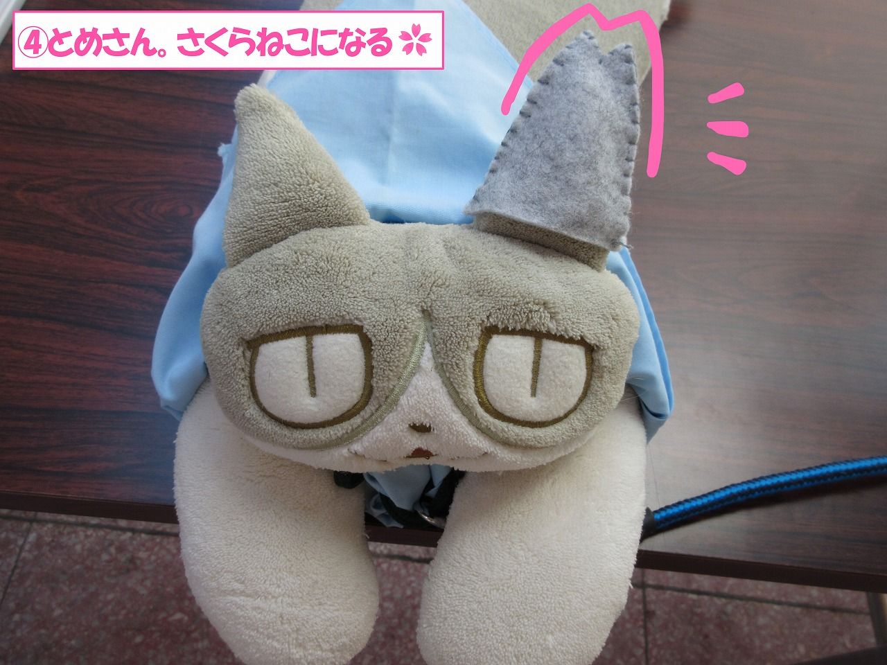 イメージ 8