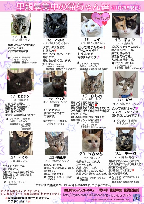 s-itirannsatooya2-20231126ip