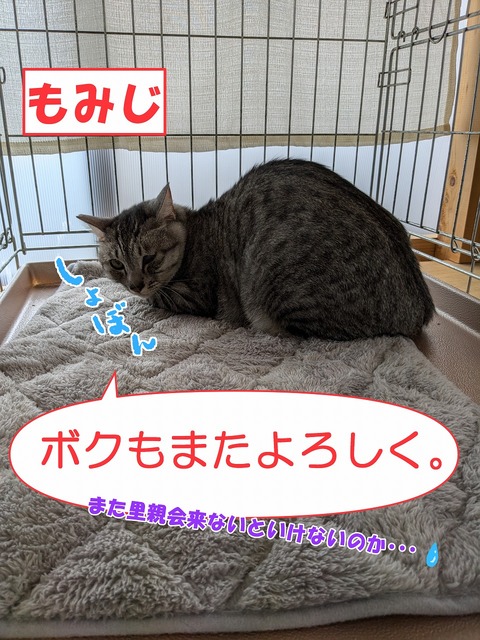 s-momi