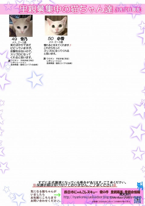s-itirannsaooya2-2023910()bosyuuyouclip