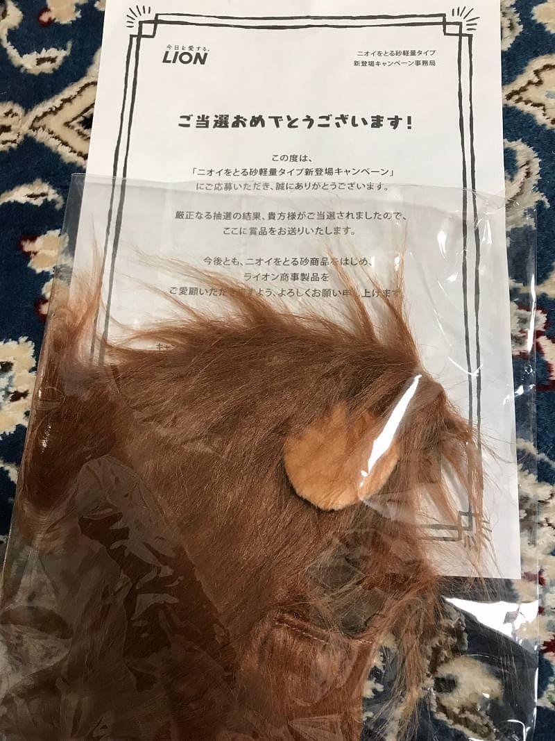 イメージ 3