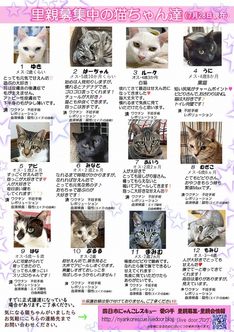 s-itirannsaooya2-3.2024728lip