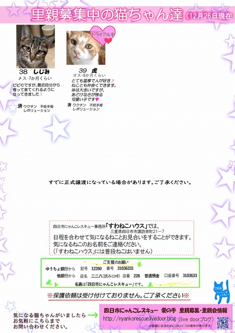 s-itirannsaooya2-1128()bosyuuyouclip