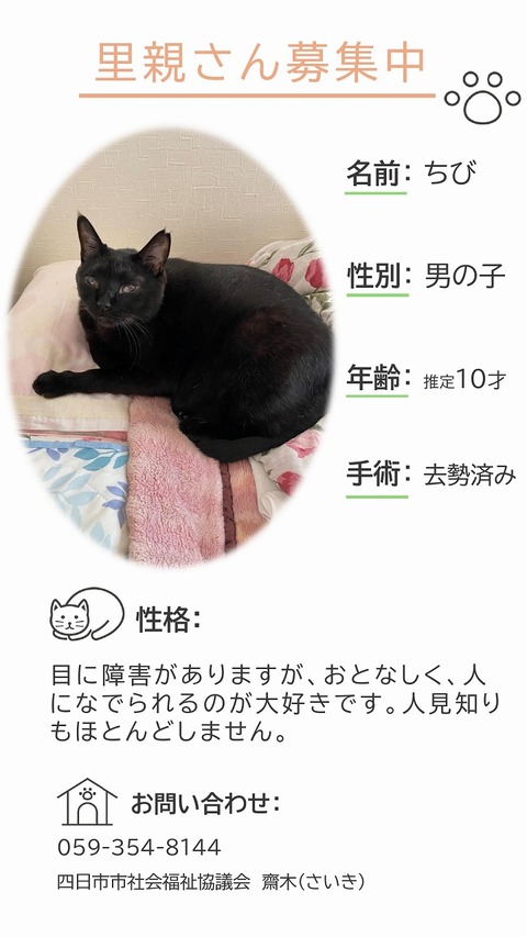 s-ちびちゃん_page-0001