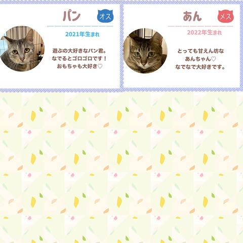 s-1689852179918