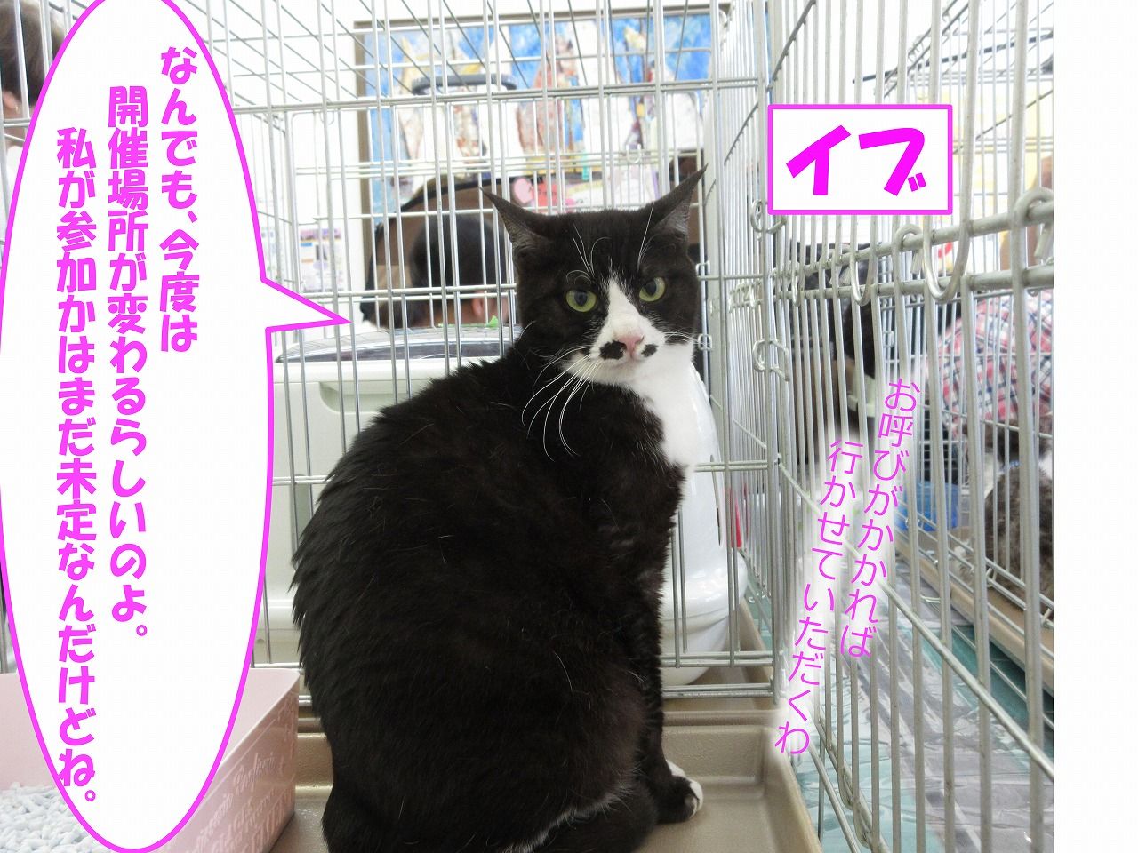 イメージ 5