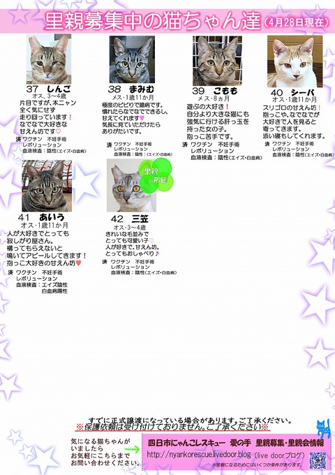 s-itirannsaooya2-2024428[ ()bosyuuyouclip
