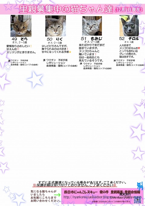 s-itirannsaooya2-20231029(3)bosyuuyouclip
