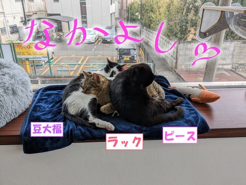 s-nakayosi