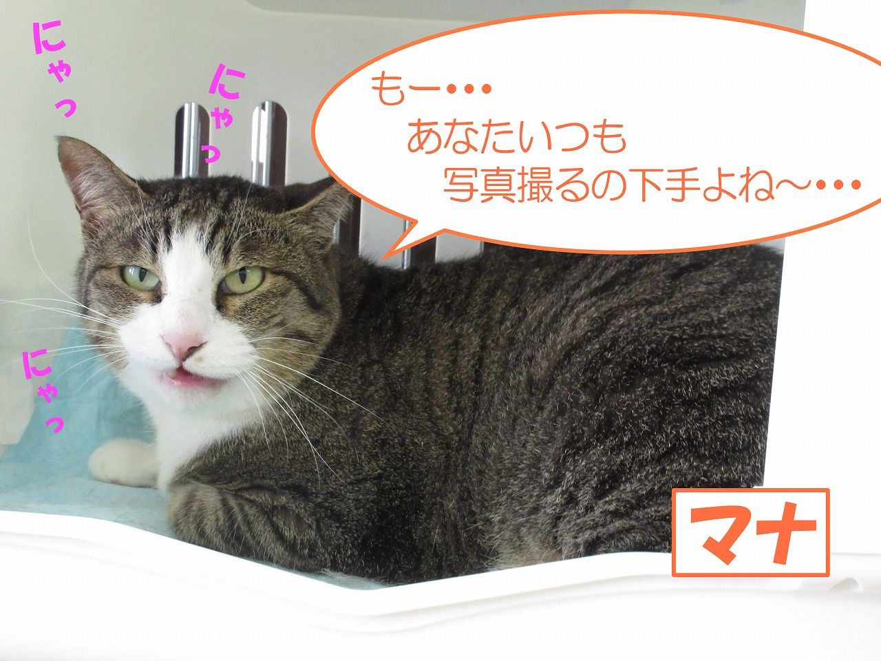 イメージ 3