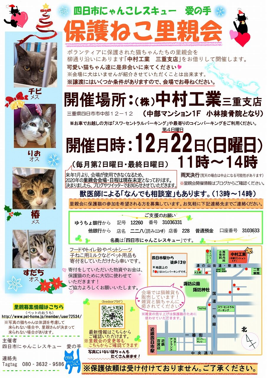 12月8日の里親会の報告 四日市にゃんこレスキュー 愛の手 里親募集 里親会情報 12月8日の里親会の報告 四日市にゃんこレスキュー 愛の手 里親募集 里親会情報