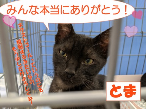 s-arigatou