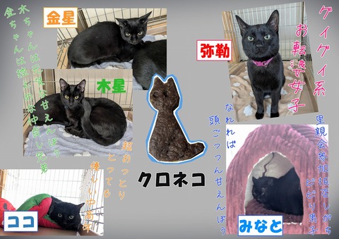 s-kuro