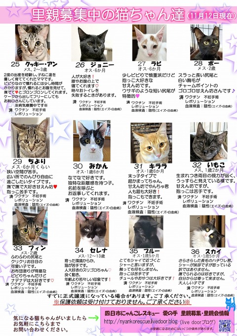 s-itirannsaooya2-20231112(2)bosyuuyouclip