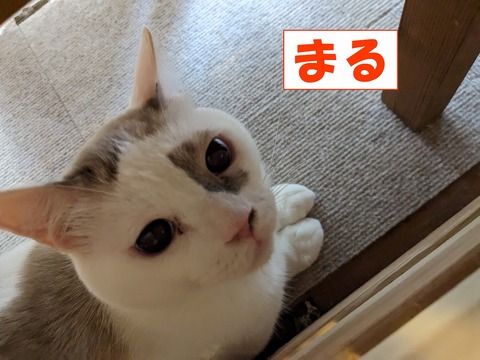 s-maru