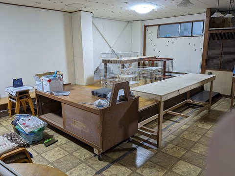 s-PXL_20231126_074229058
