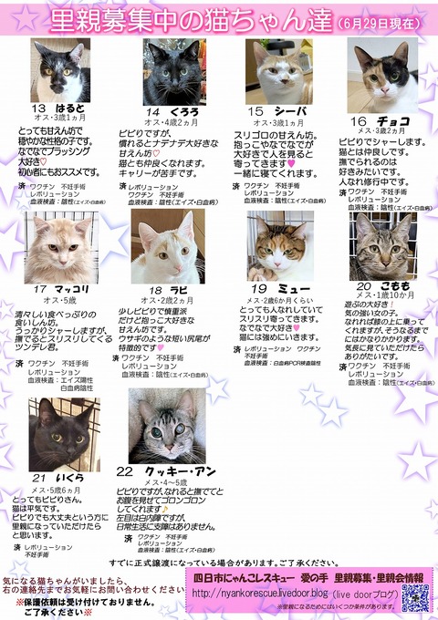 s-itirannsatooya2-2025629ip
