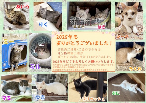 s-2025nenarigatou