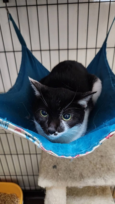 s-1685273148883