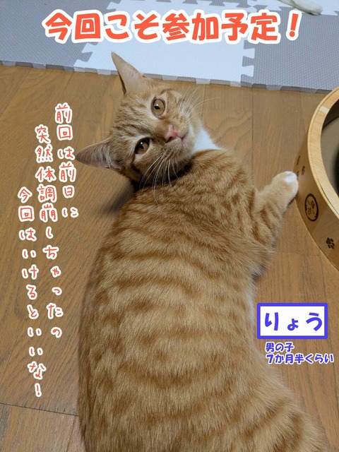 s-ryou