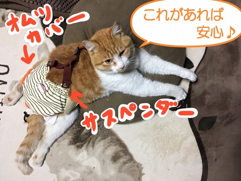s-omutu