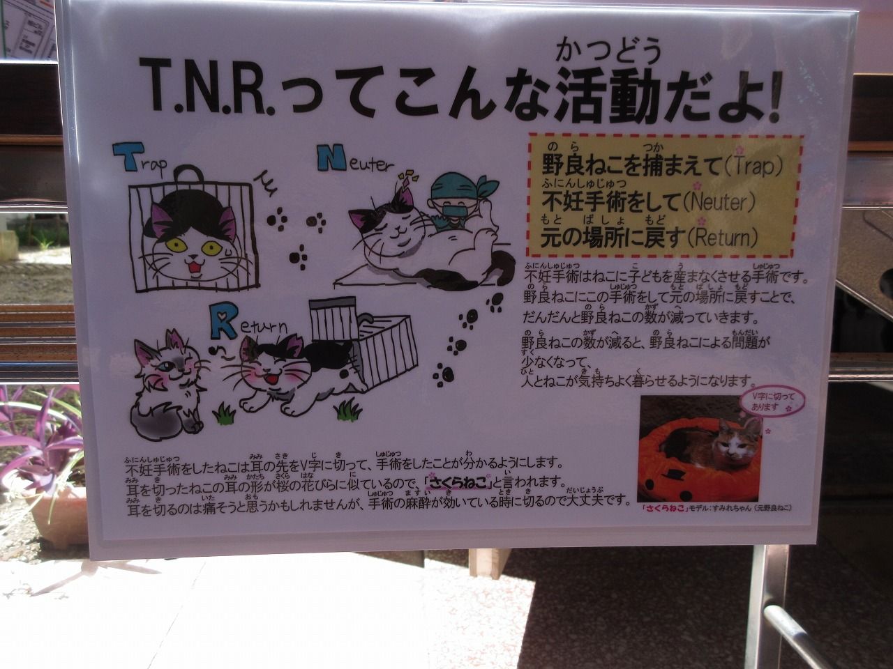 イメージ 2