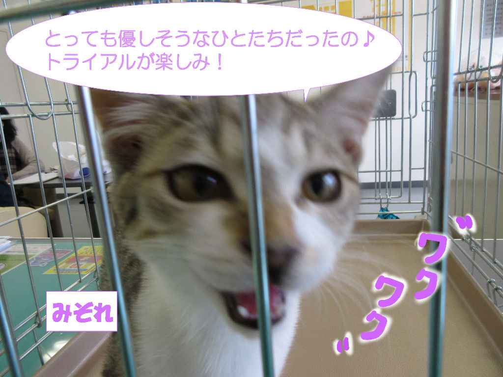 イメージ 2