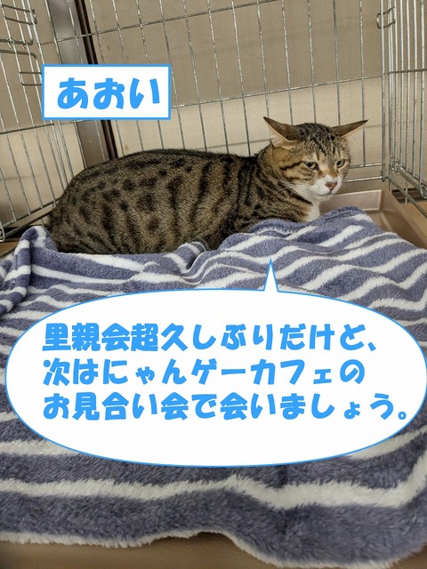 s-aoi