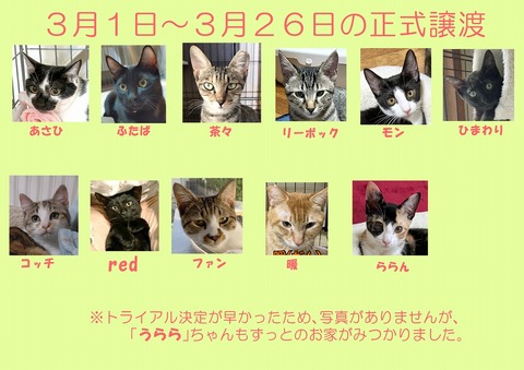 s-seisikizyouto3gatu