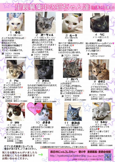 s-itirannsaooya2-3.20241124lip