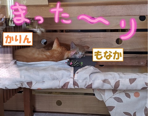 s-purinmonaka