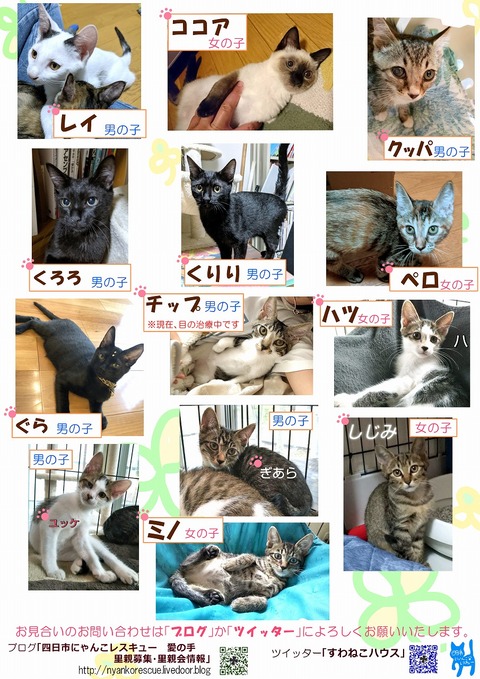 s-koneko3(2)