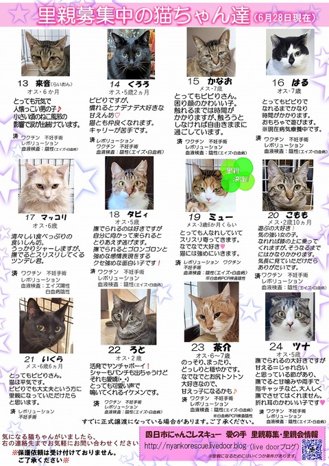 s-itirannsatooya2-2026628ip