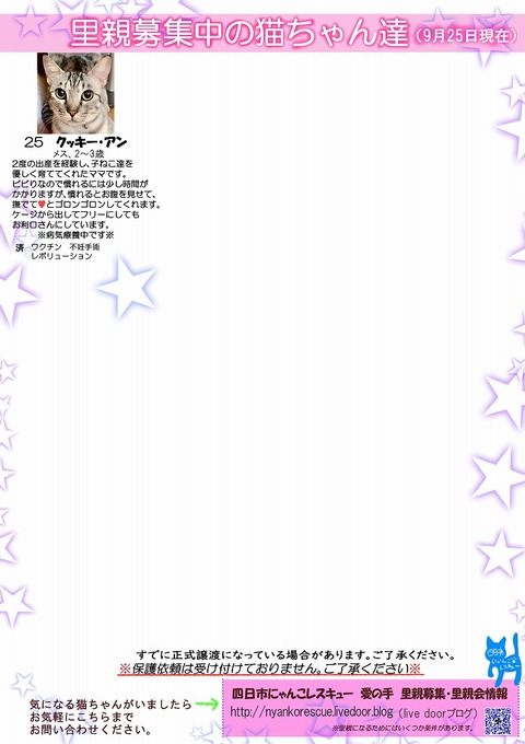 s-itirannsaooya2-20222925()bosyuuyouclip