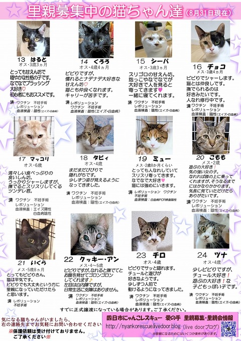 s-itirannsatooya2-2025831ip