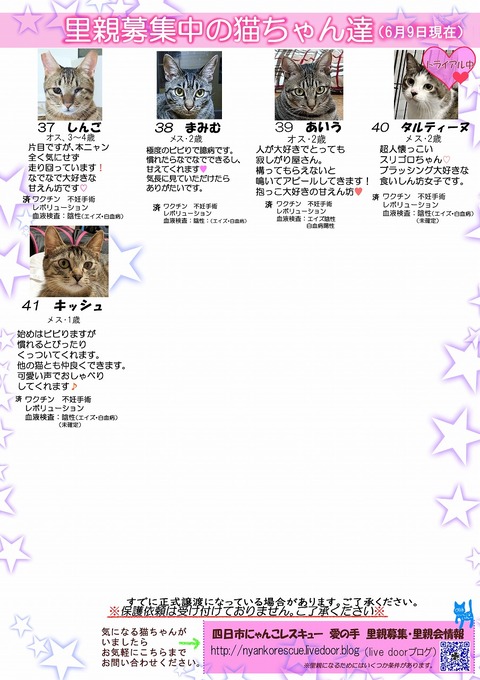 s-itirannsaooya2-202469[ ()bosyuuyouclip