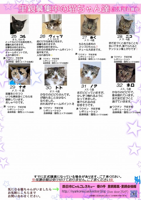 s-itirannsaooya2-20251026(2)bosyuuyouclip