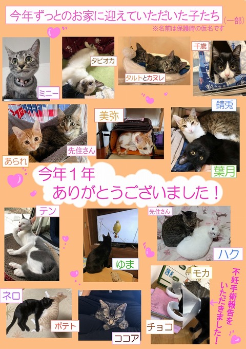 s-siawase