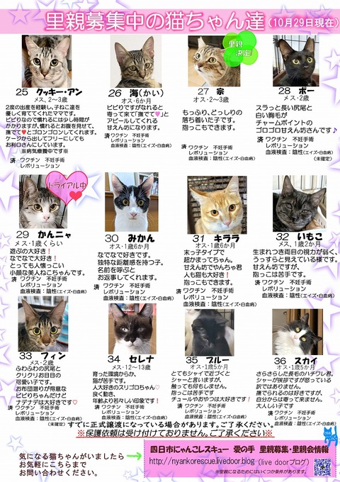 s-itirannsaooya2-20231029(2)bosyuuyouclip