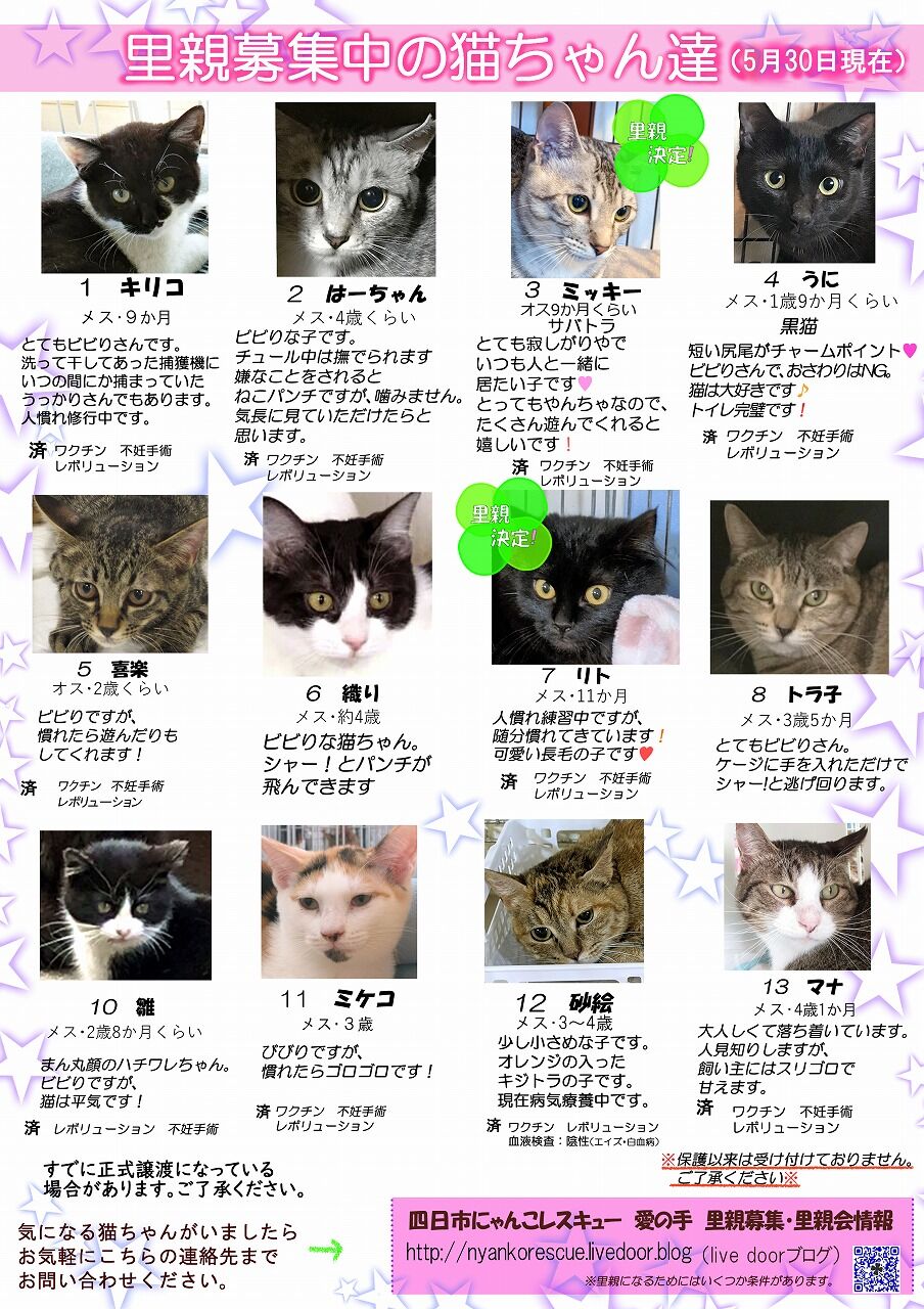 四日市にゃんこレスキュー 愛の手 里親募集 里親会情報 四日市にゃんこレスキュー 愛の手 里親募集 里親会情報