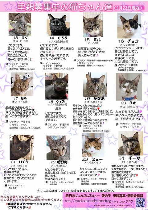 s-itirannsatooya2-2025223ip