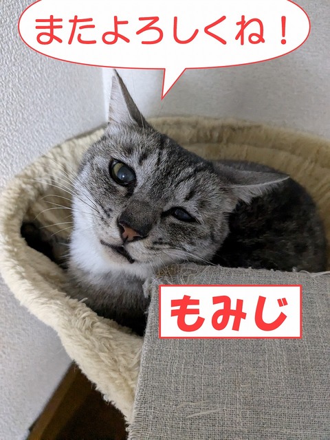 s-momi