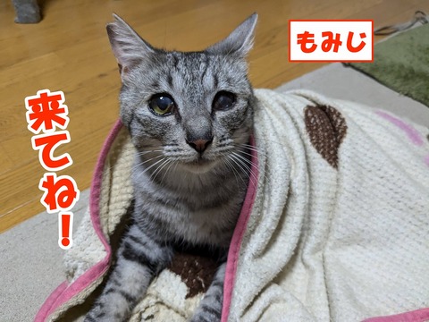 s-momi